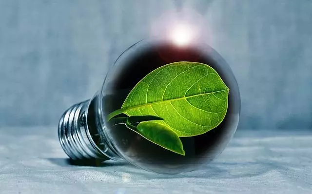 Marketing sostenibile dell'azienda green