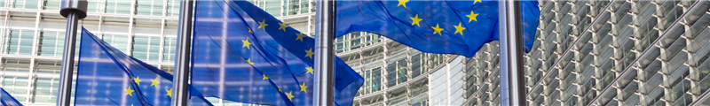 Financial Advisory e gare d'appalto europee 2025 - corso introduttivo